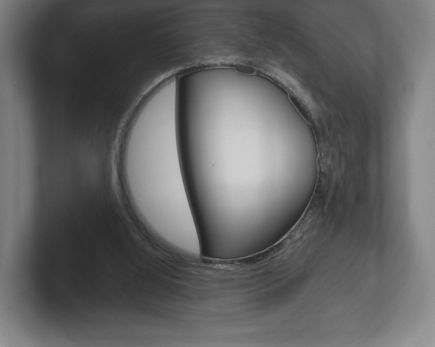 X0000102280060200807250949