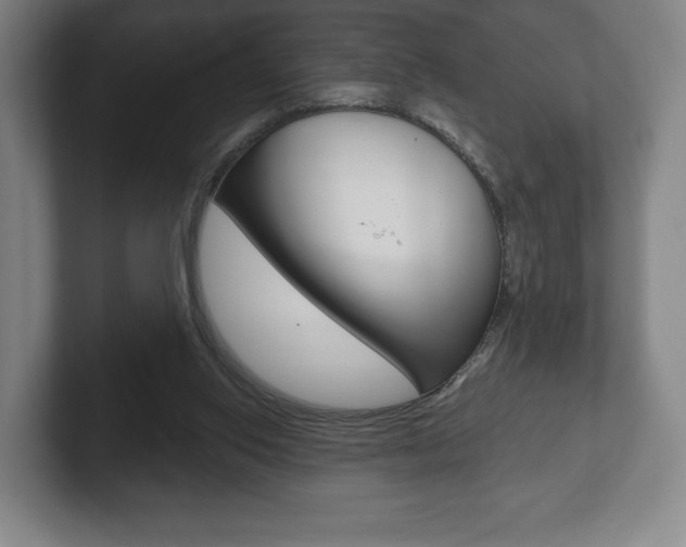 X0000102280062200807250949