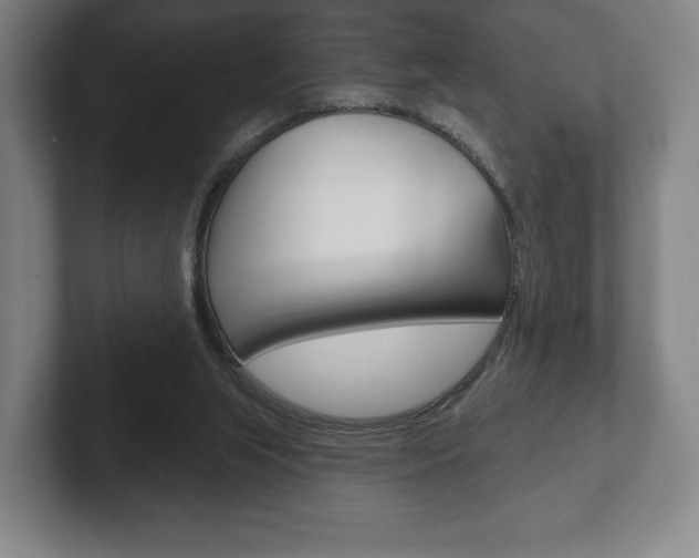 X0000102280063200807250949