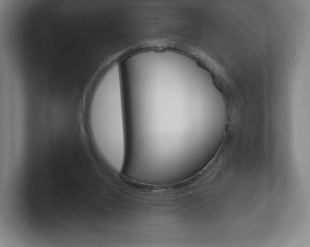 X0000102280064200807250949