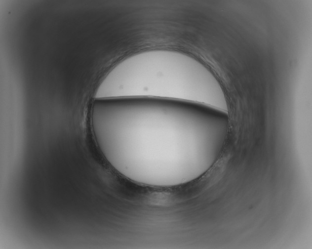 X0000102280066200807250949