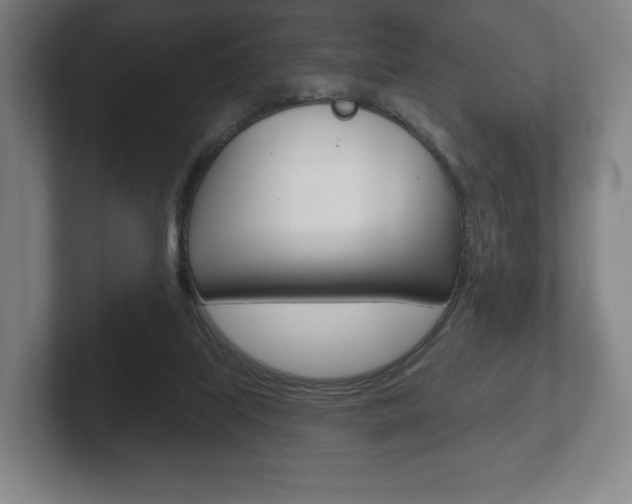 X0000102280067200807250949