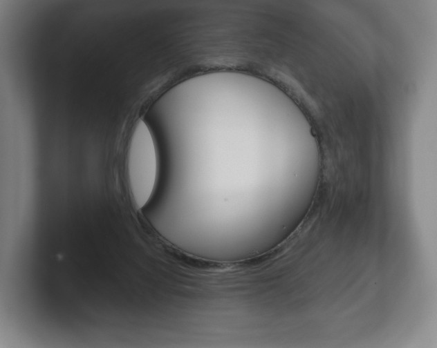 X0000102280068200807250949