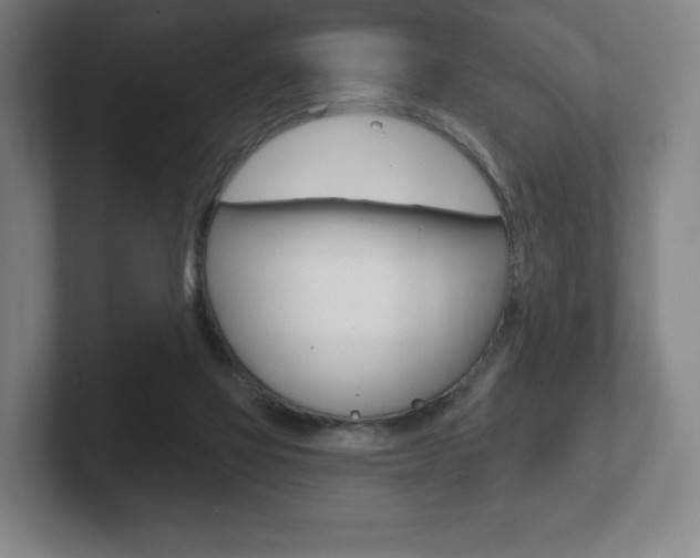 X0000102280069200807250949