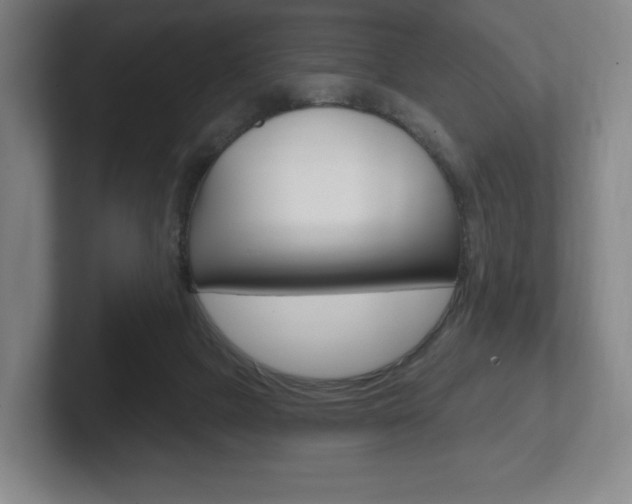 X0000102280073200807250949