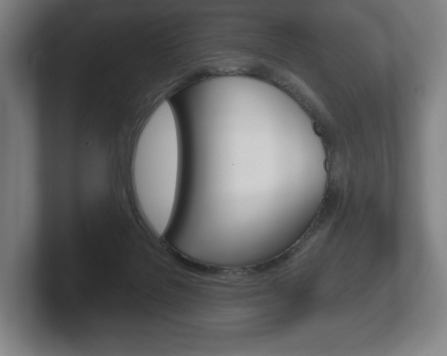 X0000102280076200807250949