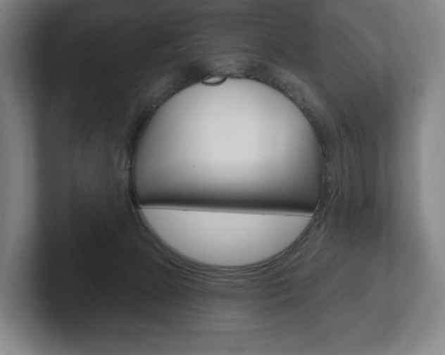 X0000102280081200807250949