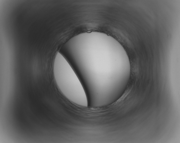 X0000102280082200807250949