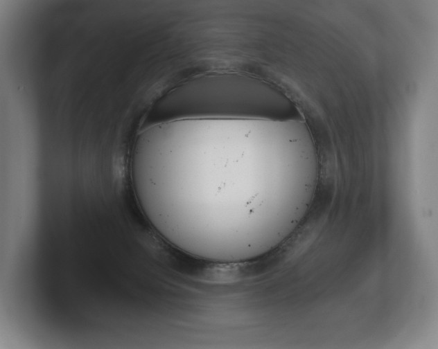 X0000102280084200807250949