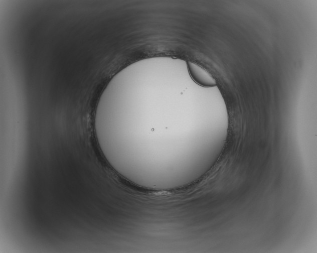 X0000102280087200807250949