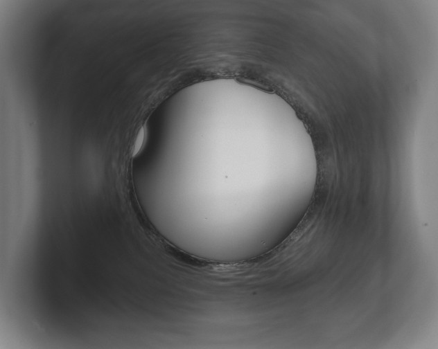X0000102280088200807250949