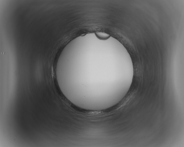 X0000102280089200807250949