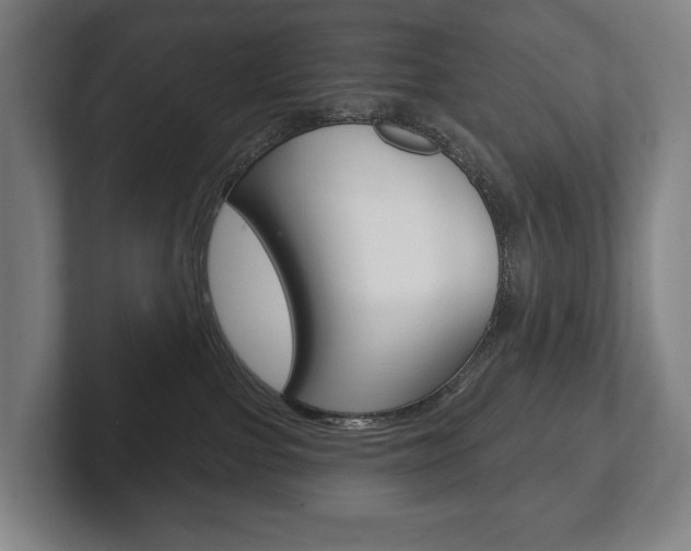 X0000102280091200807250949