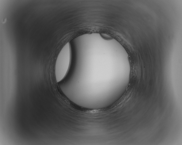 X0000102280092200807250949