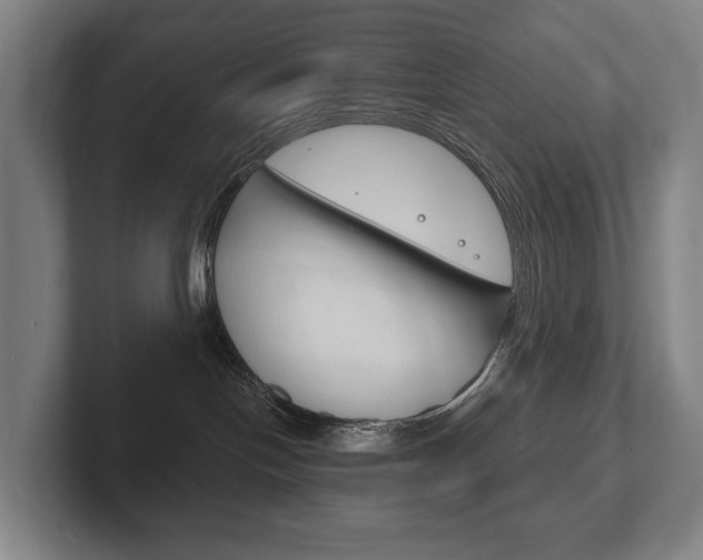 X0000102280094200807250950