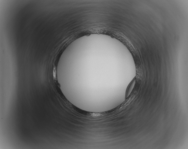 X0000102280095200807250950