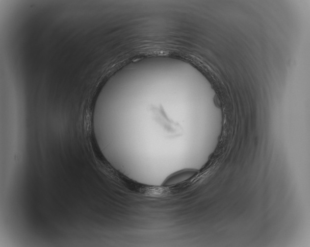 X0000102280096200807250950