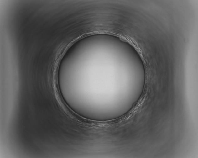 X0000102280097200807250949