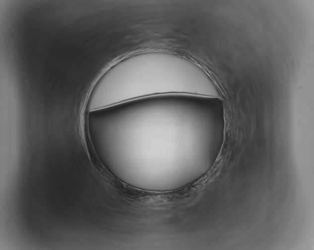 X0000102280100200807250949