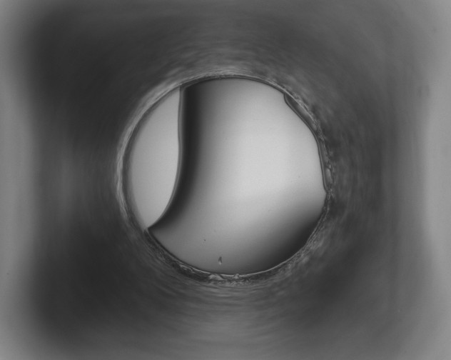 X0000102280104200807250949