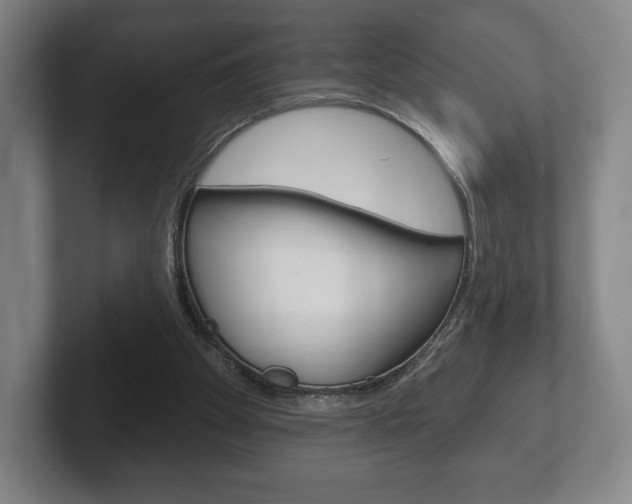 X0000102280105200807250949