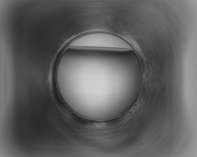 X0000102280108200807250949