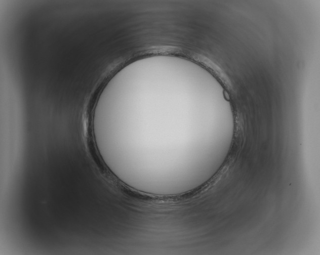 X0000102280110200807250949
