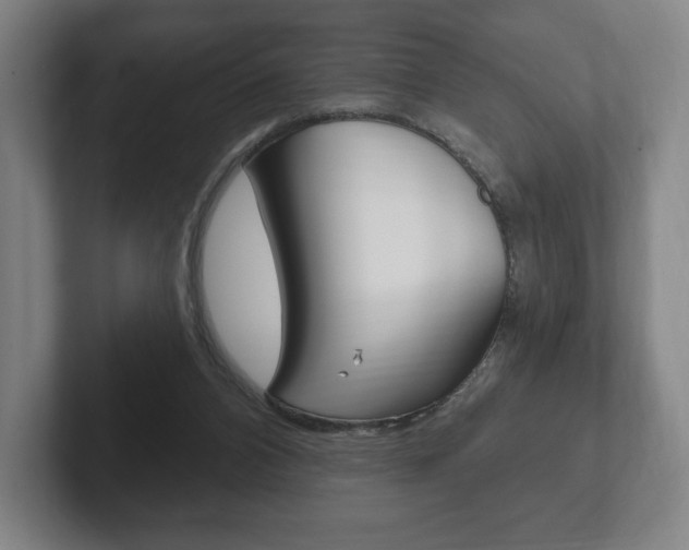 X0000102280112200807250949