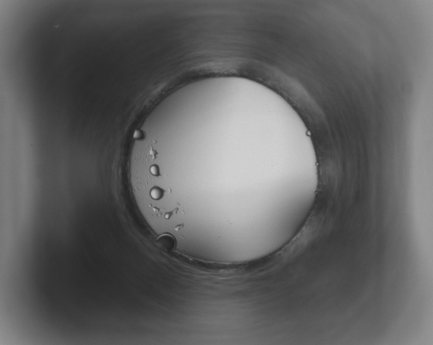 X0000102280120200807250949