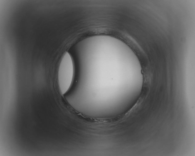 X0000102280124200807250949
