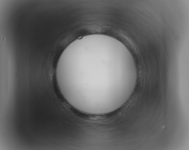X0000102280125200807250949