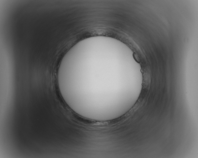 X0000102280126200807250949