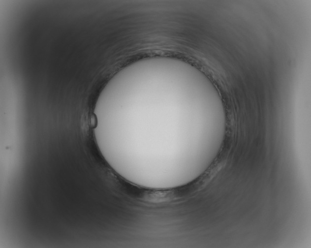 X0000102280129200807250949