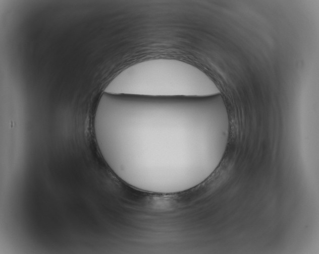 X0000102280134200807250948