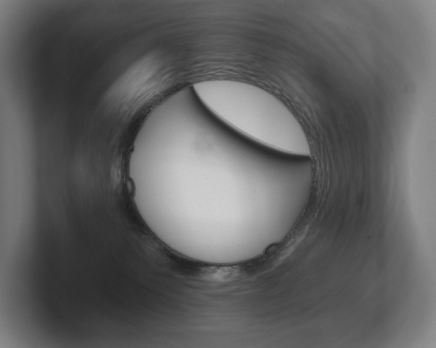 X0000102280135200807250948