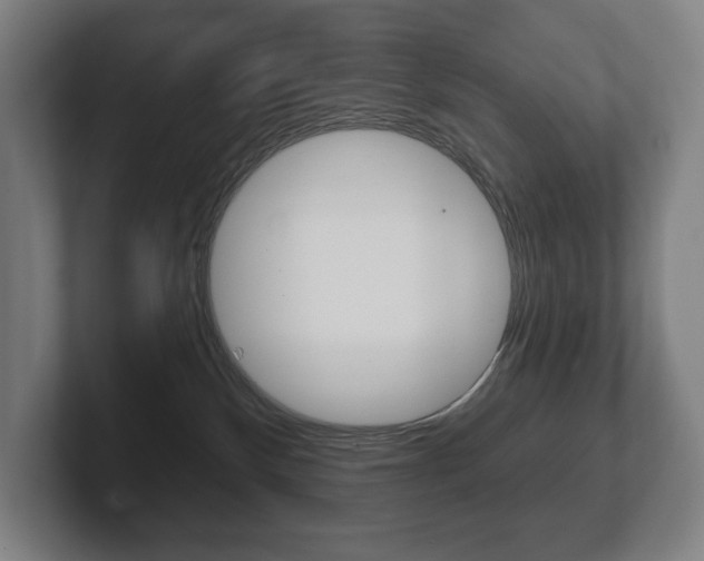 X0000102280136200807250948
