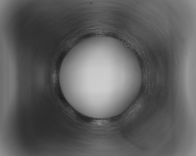 X0000102280137200807250948