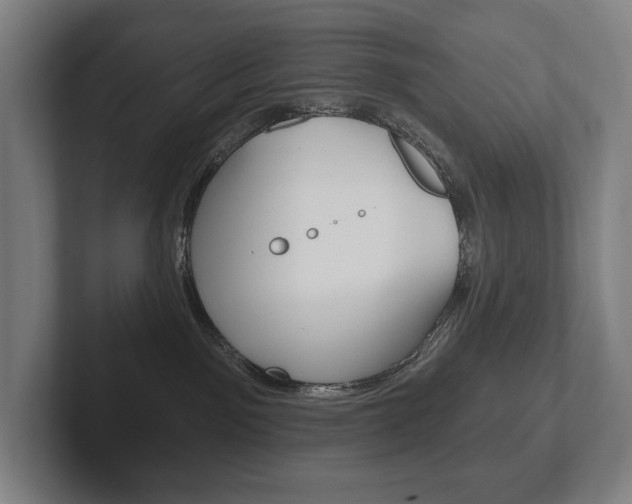 X0000102280141200807250948