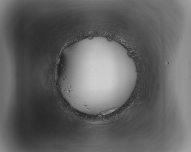 X0000102280144200807250948