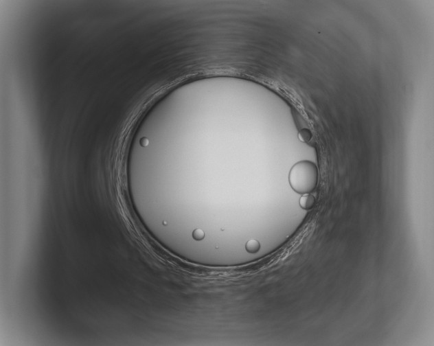 X0000102280145200807250948