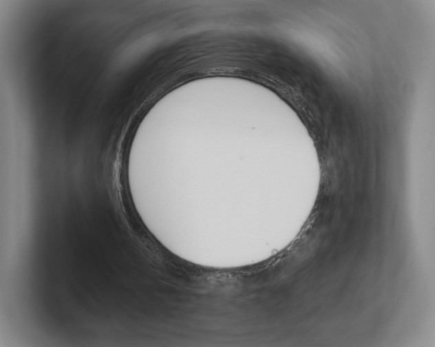X0000102280146200807250948
