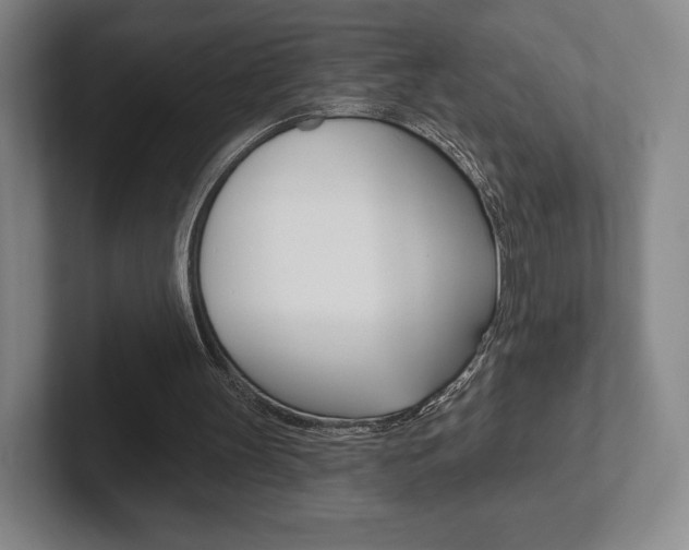 X0000102280147200807250948