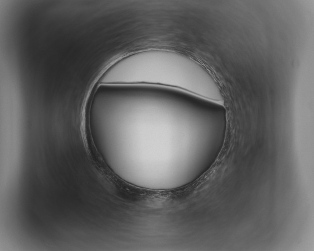X0000102280148200807250948