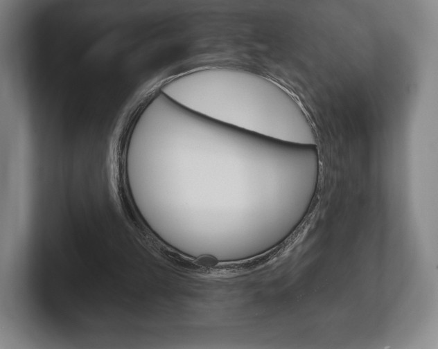 X0000102280149200807250948