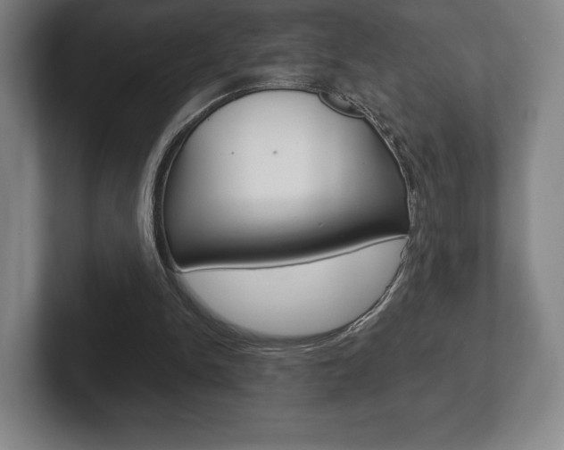 X0000102280150200807250948