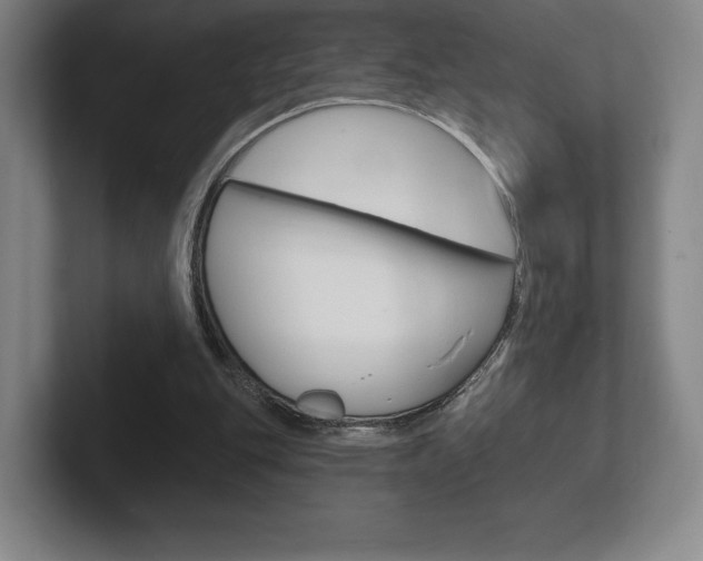 X0000102280151200807250948