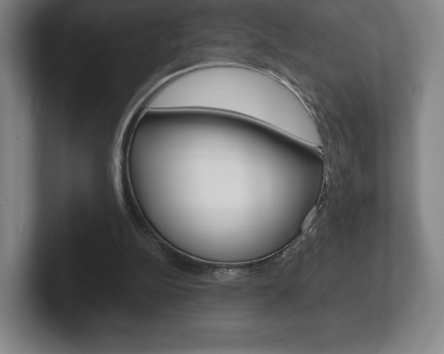 X0000102280152200807250948