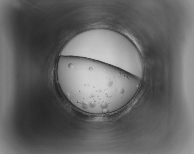 X0000102280153200807250948