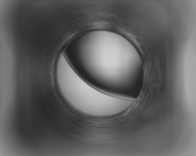 X0000102280154200807250948