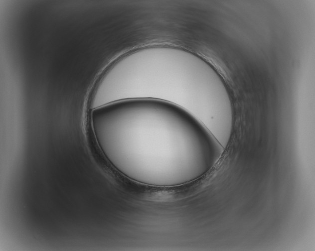 X0000102280156200807250948